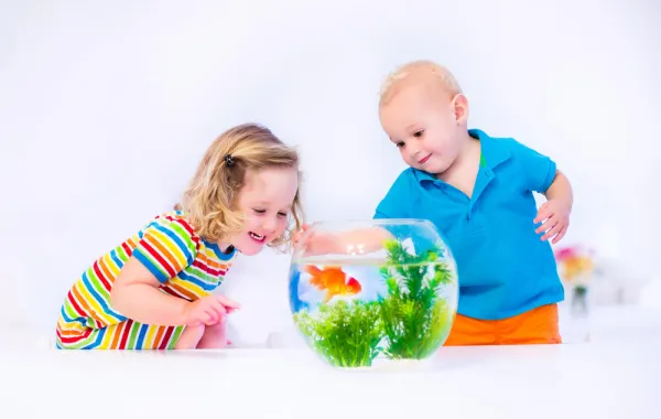 كيف تعتنين بحيوانات طفلك المنزلية في الصيف؟