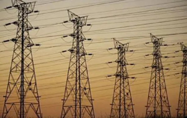 الكهرباء تحذر من استخدام أبراج الجهد العالي في الذبح العشوائي