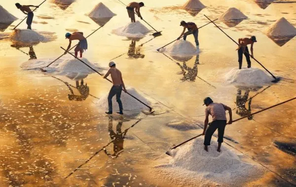 لوحات بديعة من حقول استخراج الملح