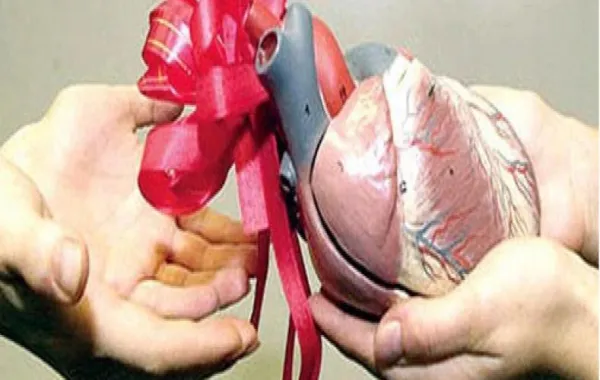 فتاة بريطانية تنقذ 8 أشخاص تبرعت لهم بأعضائها