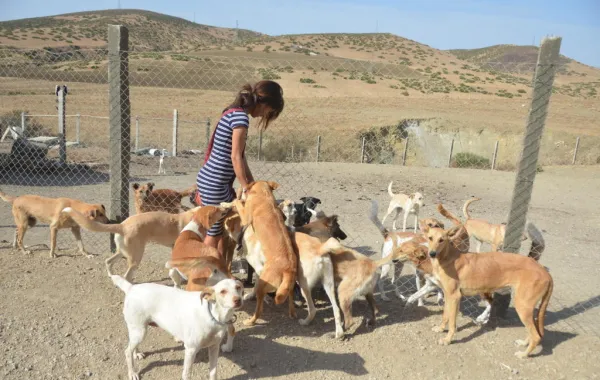 سليمة المغربية التي فضلت العيش مع الحيوانات