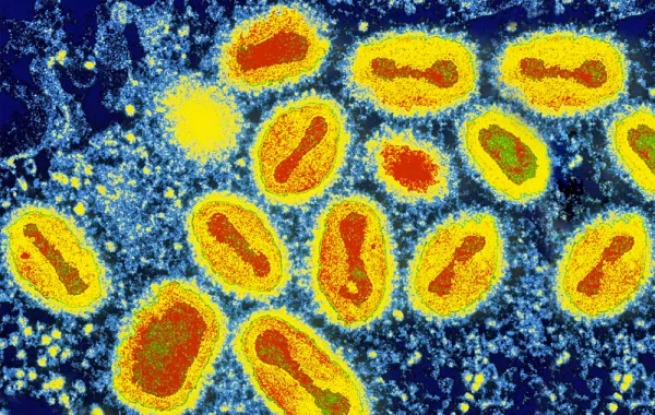 لوحات فنية من إبداع الخالق تحت الـ "ميكروسكوب"