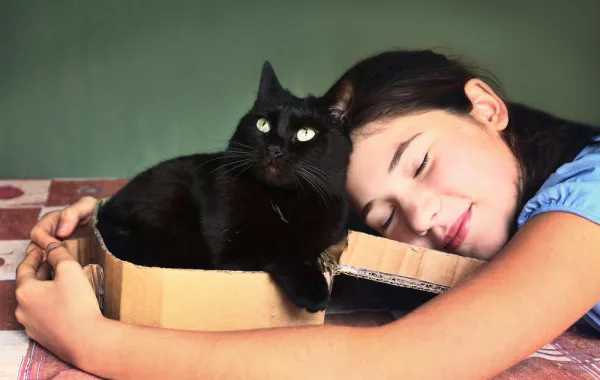 ما تفسير الحلم بقط أسود؟