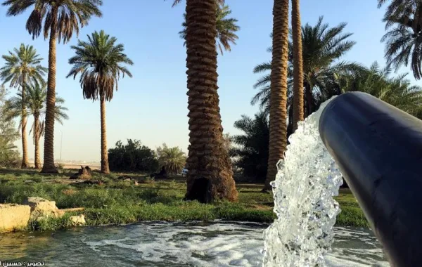 وفاة أكبر امرأة تطوعت لتوليد النساء في الأحساء