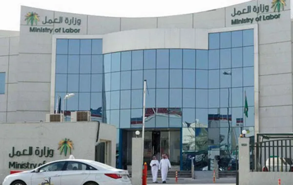 5 جهات تطلق مبادرة لاستحداث وظائف نوعية للشباب