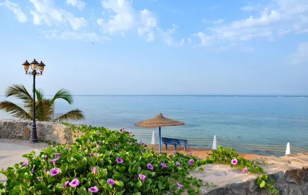 عناوين ونشاطات سياحية في ينبع السعودية