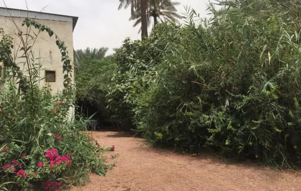 مبادرة إنسانية لتقديم المساعدات للمحتاجين في حائل