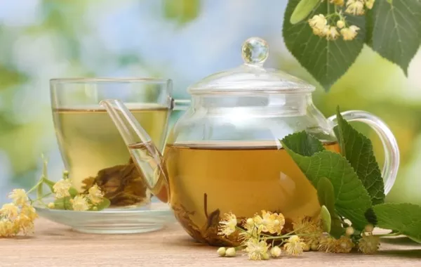 أهم الأعشاب المفيدة للطلاب في الاختبارات