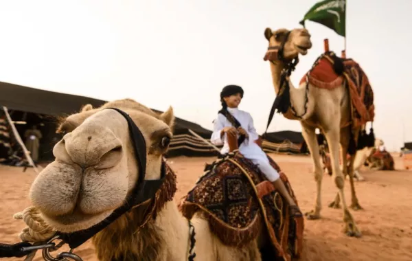 شـروط التسجيــل والمشاركة في مهرجان جائزة الملك عبدالعزيز للإبل