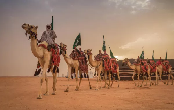 ولي العهد يوجه بانطلاق مهرجان الملك عبدالعزيز للإبل الثاني