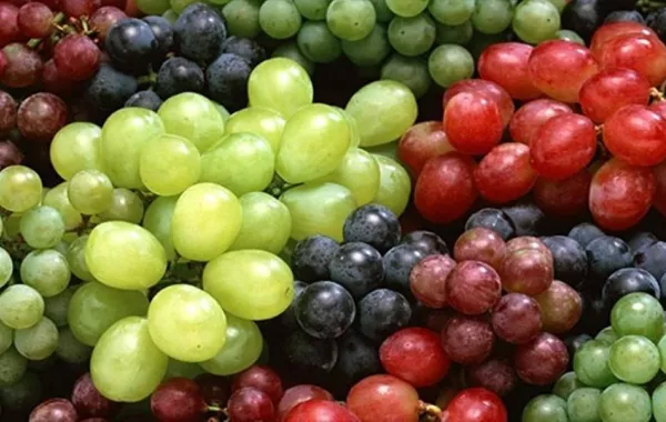 أغرب 7 طقوس لاستقبال العام الجديد