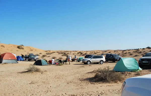 في أبوظبي: تحذير مرتادي البر من "التلوث التبادلي"
