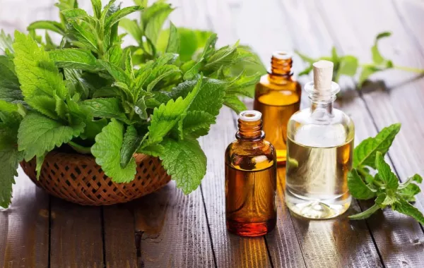 تحذيرات طبية من مخاطر مزج الأدوية الطبية مع العلاج بالأعشاب