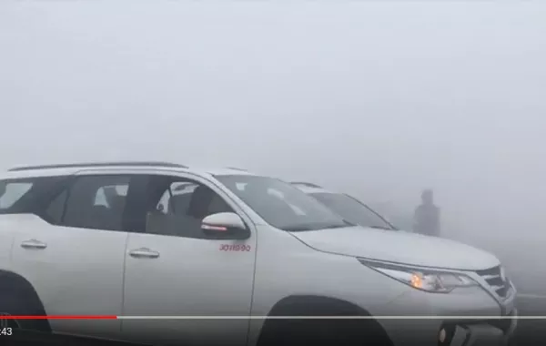 بالفيديو.. حادث مروري كبير على طريق أبوظبي - دبي بسبب الضباب