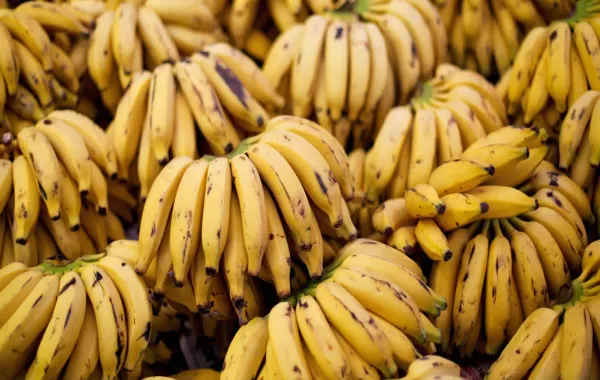 موز يقود زوجاً إلى المحكمة