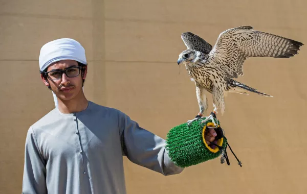 مشاركة خليجية وأجنبية لافتة في بطولة فخر الأجيال للصيد بالصقور
