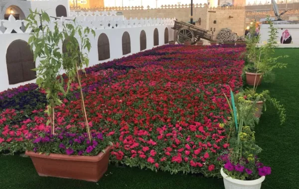 جناح مكة المكرمة.. المستقبل المشرق والماضي العريق