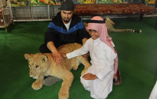 خيمة الوقاية من المخدرات" تجذب زوار "أرض المعرفة"