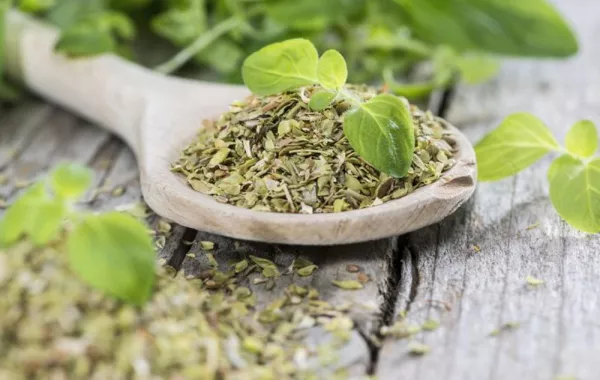 فوائد البردقوش في الـ"رجيم" المخسس