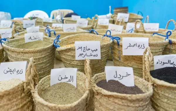 منتجات الباحة الزراعية في "الجنادرية 32".. دعوة لتذوق الطبيعة