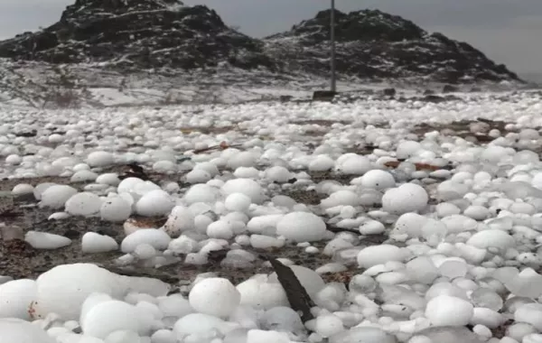 بالصور.. هذه ما فعله "البرد" في المدينة المنورة