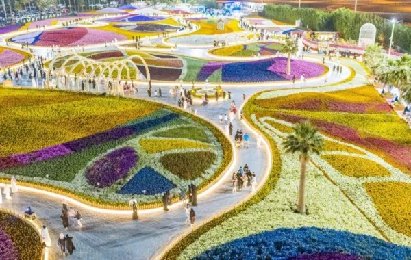 للمرة الثالثة السعودية تدخل "جينيس" بأكبر سجادة زهور