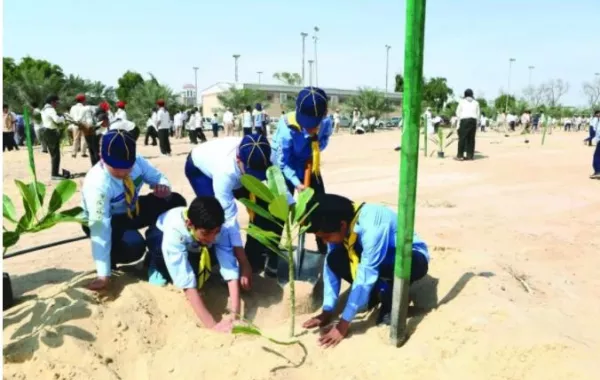 300 مدرسة تزرع مليون شجرة في الأحساء