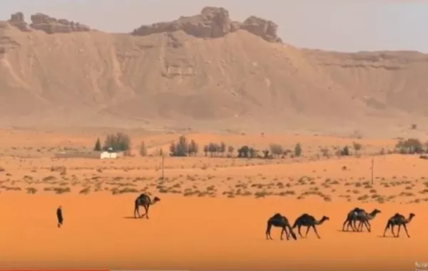 أفلام ألوان السعودية في طائرات الخطوط السعودية