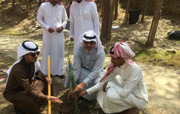 توزيع أربعة آلاف شتلة على المواطنين في محافظة بني حسن