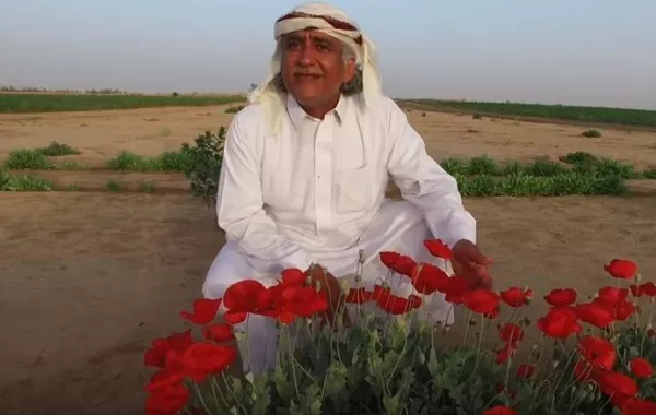 مواطن يُنشئ محمية نباتية لزراعة الأشجار المُنقرضة