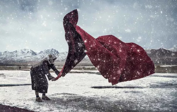 أروع الصور المرشحة لأكبر مسابقة في العالم