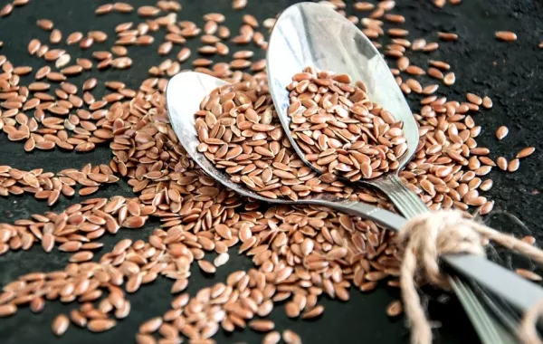 بذور الكتان في الرجيم تحقق خسارة الوزن