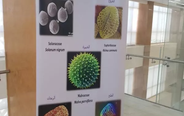 "معشبة" في جامعة الأميرة نورة