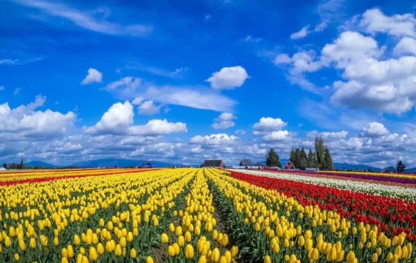 أماكن سياحية أمريكية ملونة في صور