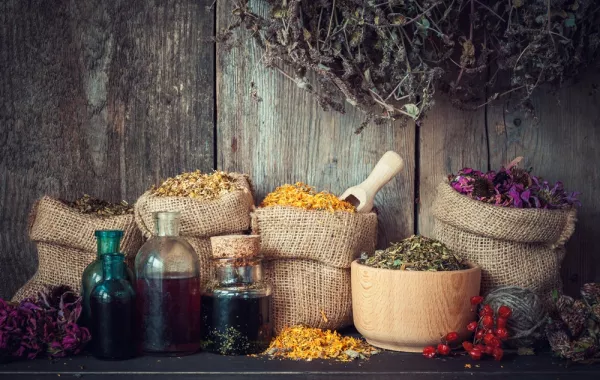 التخلص من السموم في الكبد  بطريقة طبيعية في فصل الربيع