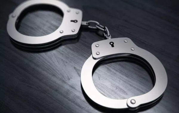 "خادمة" وخطيبها يسرقان العقارات لتكوين عشّ الزوجية