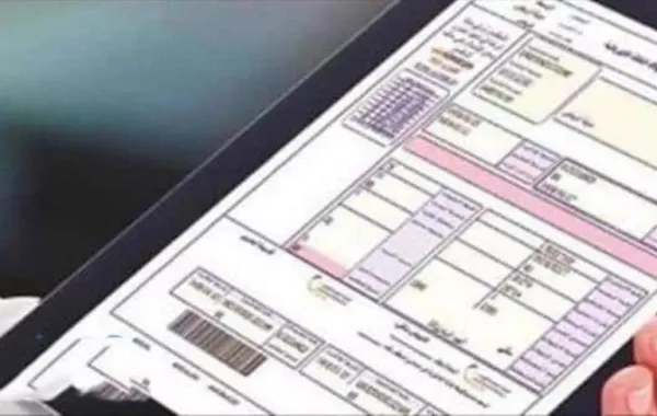 تنظيم الكهرباء تطلق حملة لتحديث معلومات مشتركيها