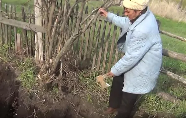 اكتشف جريمة قتل قبل 20  عامًا... وأبلغ عن زوجته