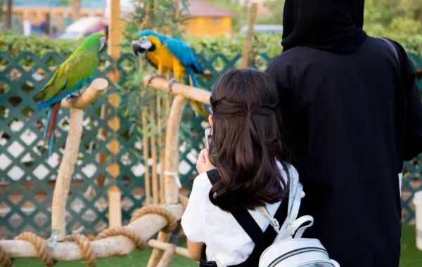 اختتام "جزيرة السعادة" في الرياض