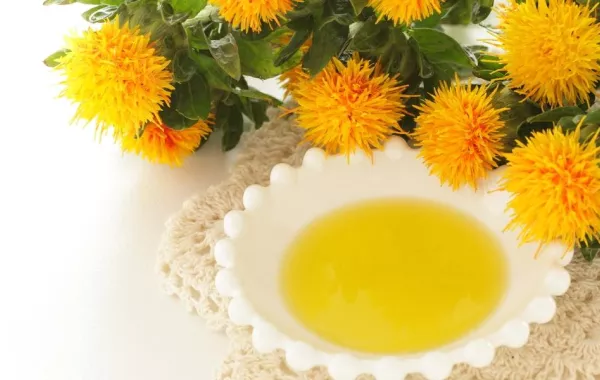 فوائد زيت العصفر في الرجيم المخسس