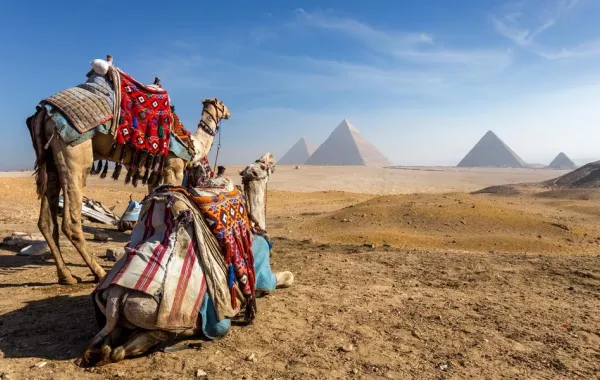 8 عناوين سياحية في القاهرة 