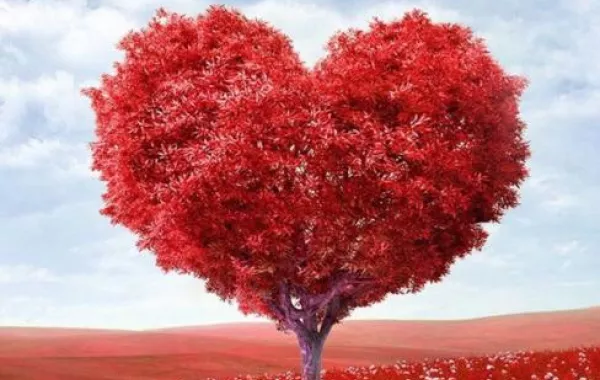 سعودي يصدر كتاباً ليجد حبيبته الغائبة!