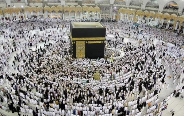 «نظام ضيف» ينقل الحجاج للمشاعر المقدسة
