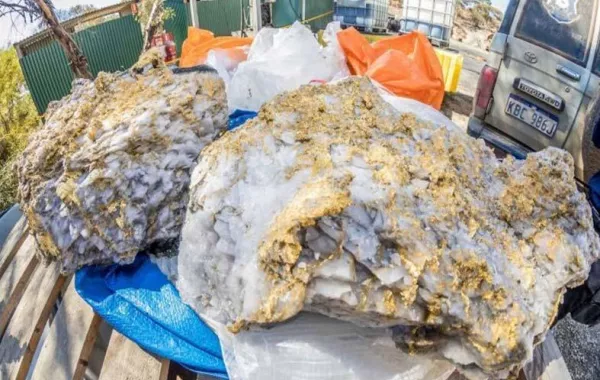 العثور على صخرتين من "الذهب" تزنان عشرات الكيلوغرامات