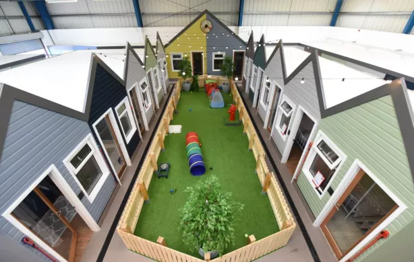 فندق للكلاب.. الأفخر في العالم