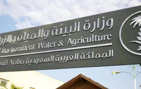 إيقاف دخول الرعاة ومواشيهم من الدول المجاورة إلى السعودية 5 سنوات