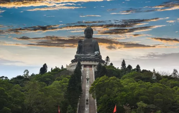 شهر العسل 2019 في هونغ كونغ لا يحتاج إلى التفكير