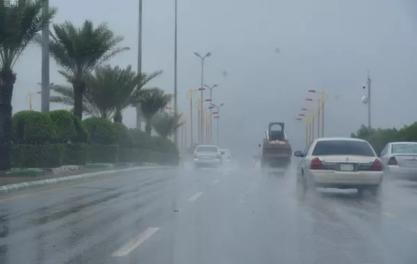 الأرصاد: أمطار رعدية في الباحة والدفاع المدني يحذر