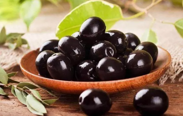 حقيقة تلوين الزيتون الأسود السعودي بمواد مسرطنة