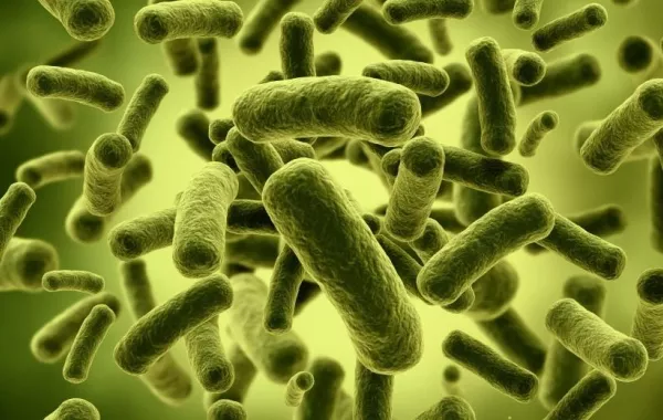 اختراع حاسوب صغير مثل حبّة الأرز لمعرفة أسباب نمو الخلايا السرطانية!